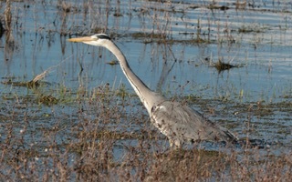 I'm ready for the catch - Duncan Gordon